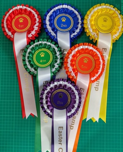 1st 6th large tier - 1st-6th, dog