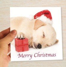 Yellow Labrador Christmas Cards & Packs Sleeping  Pup Xmas From the Dog Cards