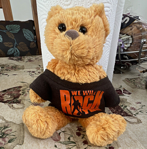 Brown plush teddy bear - plush, with
