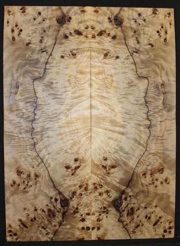 Poplar burl book matched
