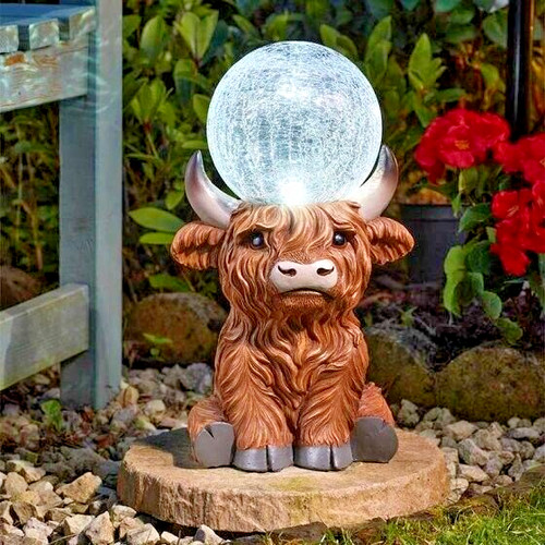 Adorable highland cow - cow, large