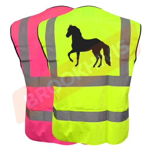 Equine viz vis - hi,