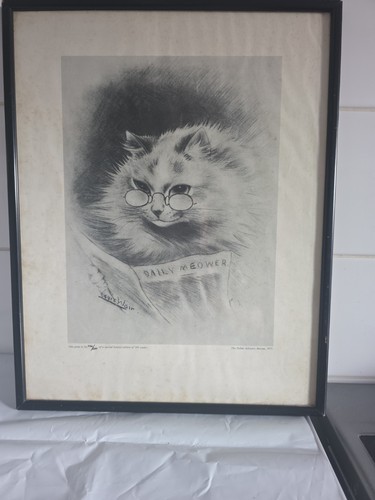 The daily meower limited - the,