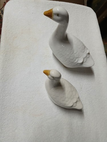 Porcelain terrine goose - terrine, "goose"