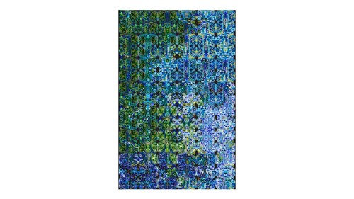 Display eco alliance rug - display,