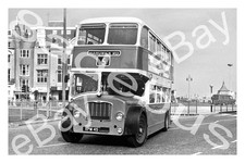 Bus Photograph BRIGHTON HOVE &