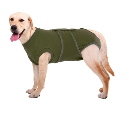 Dog recovery suit - post, surgery