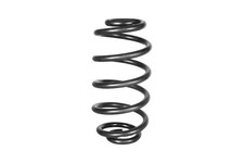 Coil Spring Rear Fits