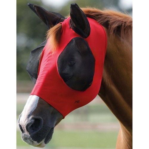 Premier equine comfort tech - equine,