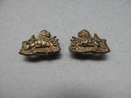 Rhodesia bsap collar - collar, badges