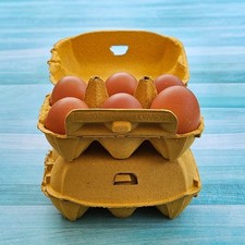 Henpac yellow egg - , 6-egg