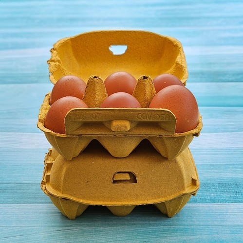 Henpac yellow egg - henpac, 6-egg