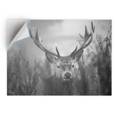 1 x Vinyl Sticker A4 - BW -
