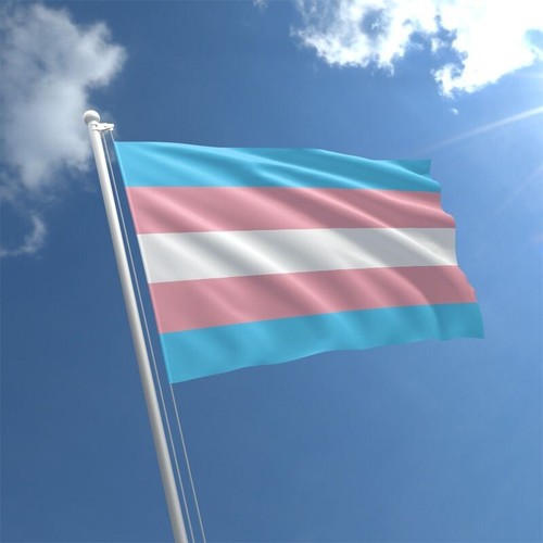 Transgender pride flag - pride,