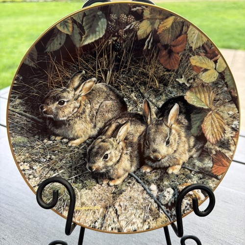 Shy explorers plate - explorers, our