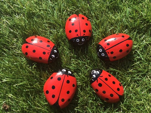 Hand painted ladybird ladybug - ladybird,