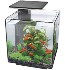 Superfish qubiq led black - led,