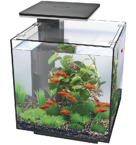 Superfish qubiq led - superfish,