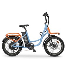 Hidoes C6 20” Electric Bike