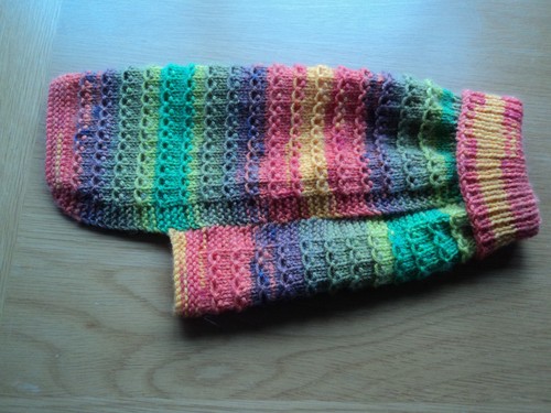 Hand knitted dog cat - knitted, dog/cat