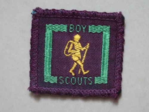 Senior scouts proficiency - senior,