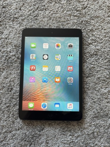 Apple ipad mini 1st - apple,
