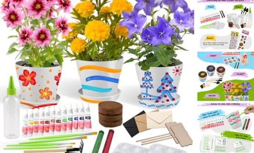 Paint plant children s - paint, &