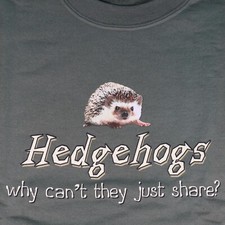Hedgehogs Why Can't They Just
