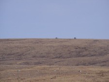 Photo 6x4 Tracked Vehicles on