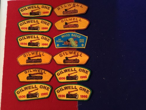 Gilwell woodbadge pcs csps - 12,