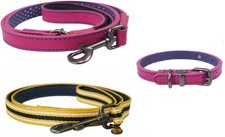 Joules Dog Collar & Leads |