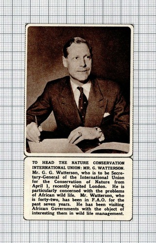 Watterson nature - mr,