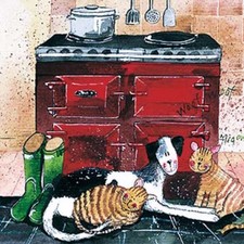 In the Warmth Funny Cat Dog