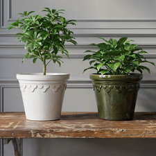 Ceramic Plant Pot with