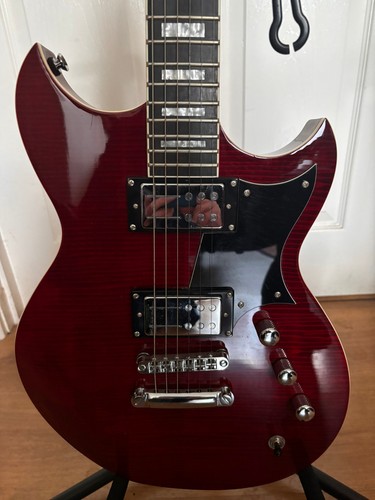 Reverend sensei - hb,