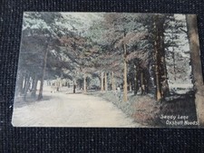 Sandy Lane Oxshott Woods Postcard - 104240