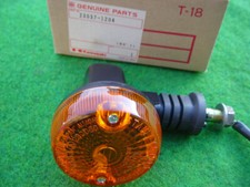 Indicator Turn Signal Light