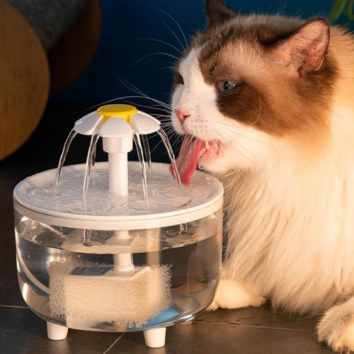 Cat mate pet drinking - pet, water