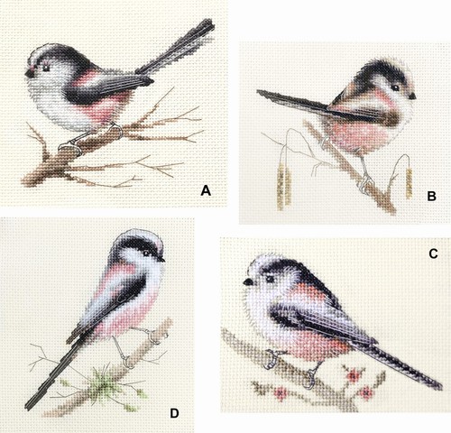 Long tailed tit garden - long,