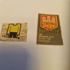 Norwich City #103 Badge / Kit