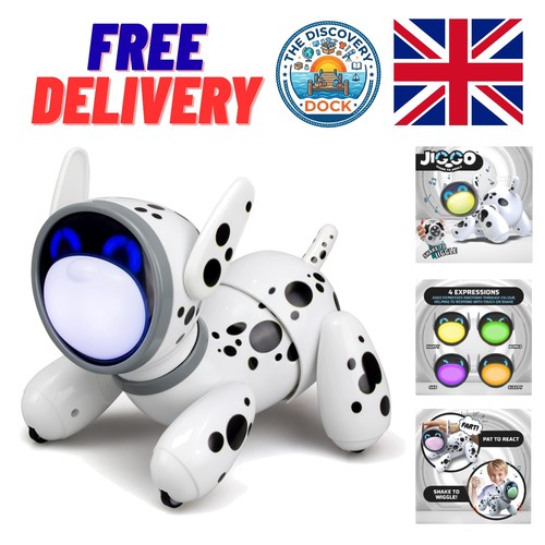 Cute jiggo robot pet with - pet,