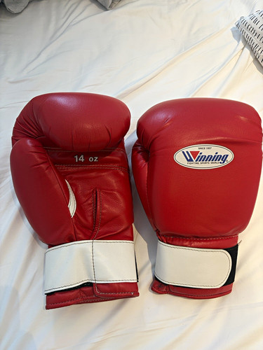 Winning boxing training - winning, gloves