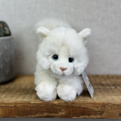 Animal alley realistic - animal, white