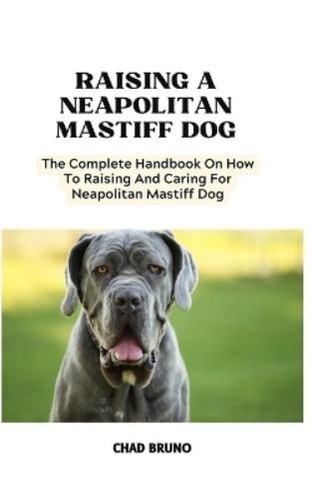 Chad bruno neapolitan mastiff - bruno,