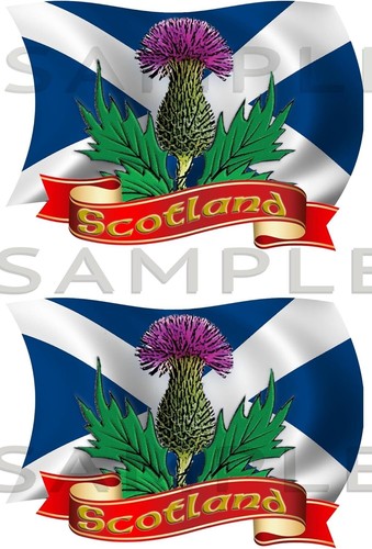 Individual scottish - x,