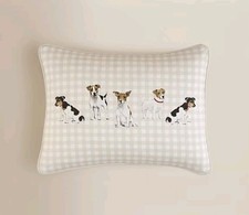 Jack russell terrier - jack,