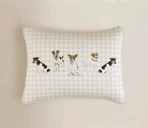 Jack russell terrier - russell, cushion