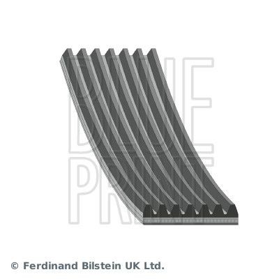 Blueprint ribbed belt - blueprint, v-ribbed