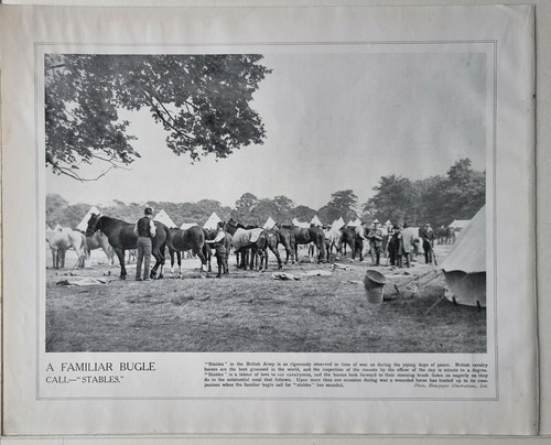 1915 ww1 print - print, &