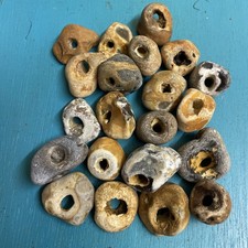 Twenty Natural Hag Stones